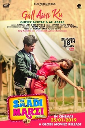 Saadi Marzi (2019) Punjabi Movie | Dubbed Hindi Movie HDRip x264 [930MB]