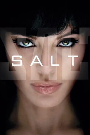 Salt (2010) Dual Audio | Dubbed Hindi Movie BluRay 300MB