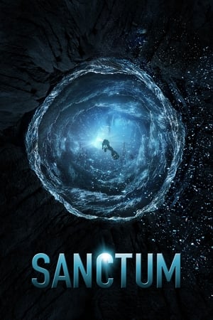 Sanctum (2011) Dual Audio | Dubbed Hindi Movie BluRay 300MB