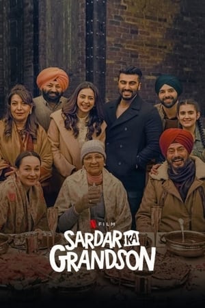 Sardar Ka Grandson 2021 Movie | Dubbed Hindi Movie HDRip x264 [1.1GB]