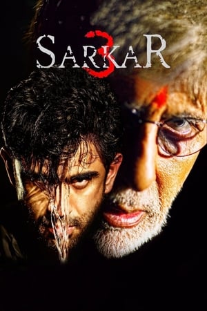 Sarkar 3 2017 190mb movie Hevc DVDRip Download