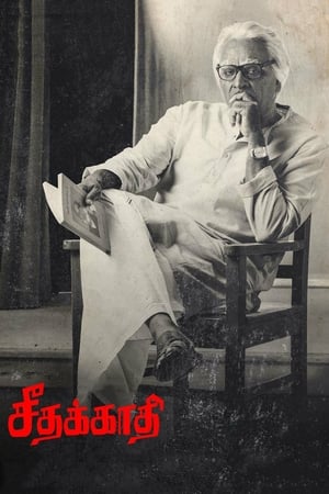 Seethakaathi (2018) Dubbed | Dubbed Hindi Movie HDRip [1.1GB]