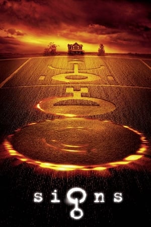 Signs 2002 Dual Audio | Dubbed Hindi Movie BluRay 380MB