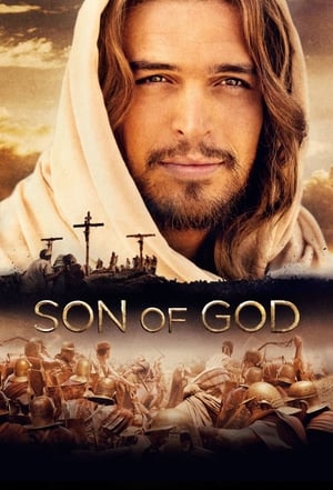 Son of God 2014 Dual Audio | Dubbed Hindi Movie BluRay [980MB]