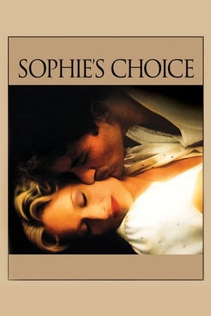 Sophie's Choice (1982) Dual Audio | Dubbed Hindi Movie BluRay 460MB