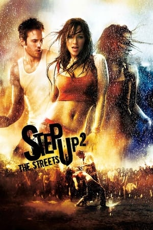 Step Up 2 The Streets 2008 Dual Audio | Dubbed Hindi Movie BluRay 300MB