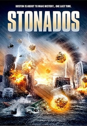 Stonados (2013) Dual Audio | Dubbed Hindi Movie BluRay 300MB