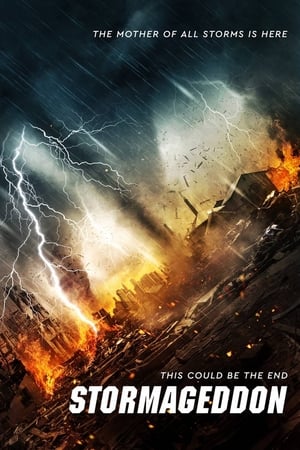 Stormageddon (2015) Dual Audio | Dubbed Hindi Movie BluRay 290MB