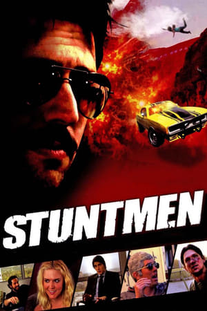 Stuntmen 2009 Dual Audio | Dubbed Hindi Movie WebRip [800MB]
