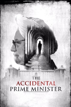 The Accidental Prime Minister (2019) Movie | Dubbed Hindi Movie HDRip - [400MB]