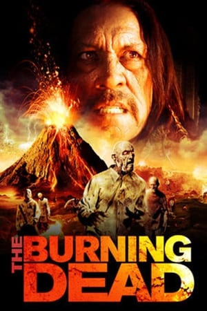 The Burning Dead (2015) Dual Audio | Dubbed Hindi Movie BluRay [750MB]