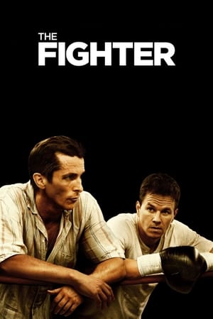 The Fighter (2010) Dual Audio | Dubbed Hindi Movie BluRay 360MB