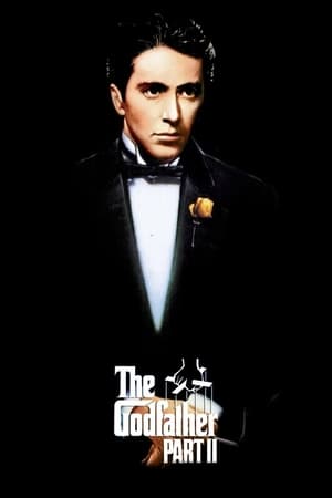 The Godfather Part II (1974) Dual Audio Full Movie | Dubbed Hindi Movie BluRay - 1GB