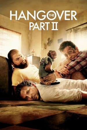 The Hangover Part II (2011) Dual Audio | Dubbed Hindi Movie BluRay [750MB]