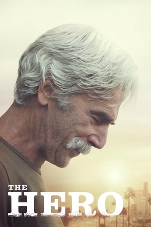 The Hero (2017) Movie | Dubbed Hindi Movie HDRip - [300MB]