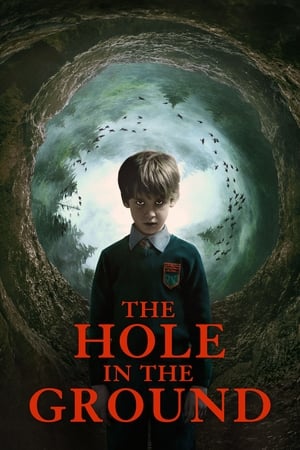 The Hole in the Ground 2019 Dual Audio | Dubbed Hindi Movie BluRay 300MB