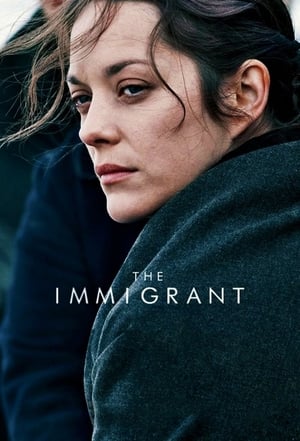 The Immigrant (2013) Dual Audio | Dubbed Hindi Movie BluRay 300MB