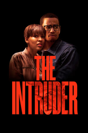 The Intruder (2019) Dual Audio | Dubbed Hindi Movie HDRip 350MB