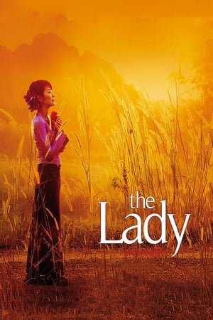 The Lady 2011 Dual Audio Movie | Dubbed Hindi Movie Bluray - 920MB