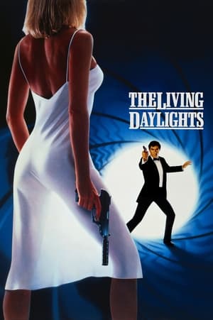 The Living Daylights (1987) Dual Audio | Dubbed Hindi Movie BluRay [1.1GB]