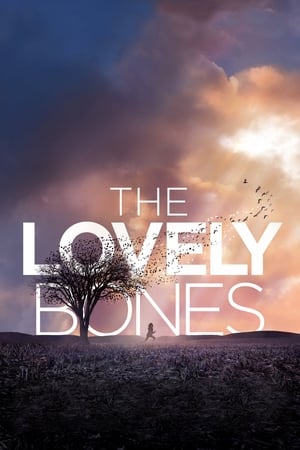The Lovely Bones (2009) Dual Audio | Dubbed Hindi Movie BluRay [1GB]