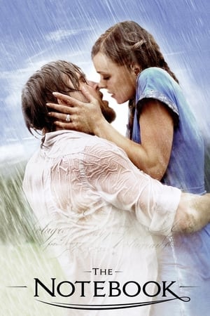 The Notebook 2004 Dual Audio | Dubbed Hindi Movie BRRip 400MB