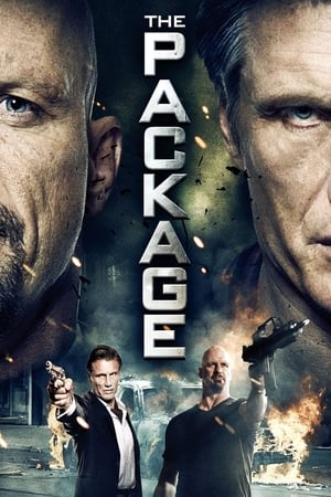 The Package (2013) Dual Audio | Dubbed Hindi Movie HDRip 350MB