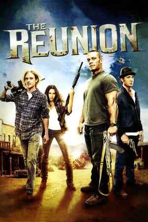 The Reunion (2011) Dual Audio HDRip | Dubbed Hindi Movie – 480p