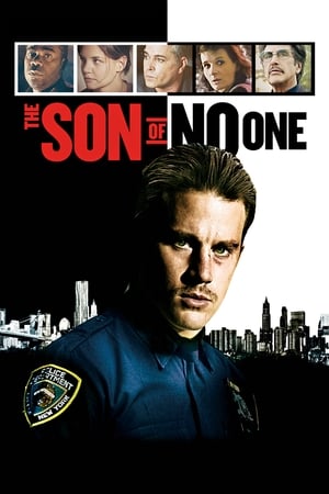 The Son of No One (2011) Dual Audio | Dubbed Hindi Movie BluRay [900MB]