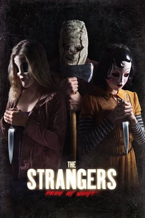 The Strangers: Prey at Night (2018) Dual Audio | Dubbed Hindi Movie BluRay [770MB]