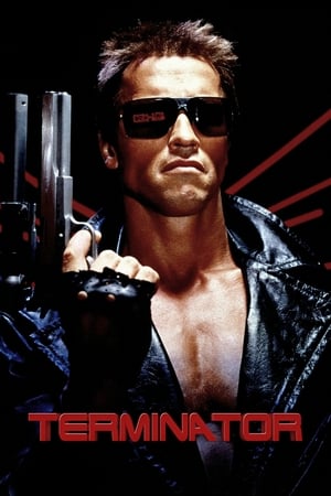 The Terminator (1984) Dual Audio | Dubbed Hindi Movie BluRay [800MB]
