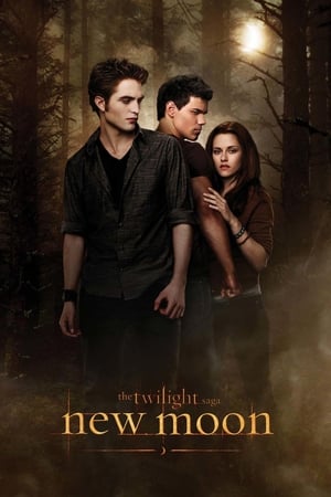 The Twilight Saga New Moon (2009) Dual Audio Bluray | Dubbed Hindi Movie [1.0GB] Download