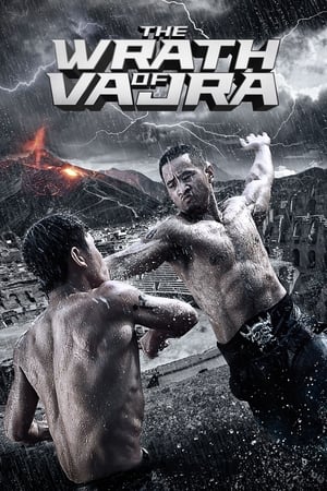 The Wrath of Vajra (2013) Dual Audio | Dubbed Hindi Movie BluRay 350MB