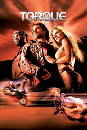 Torque 2004 Dual Audio BRRip | Dubbed Hindi Movie [600MB] Download