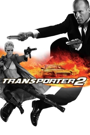 Transporter 2 (2005) Dual Audio | Dubbed Hindi Movie BluRay 300MB