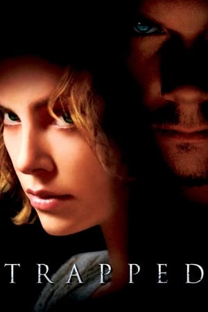 Trapped 2002 Dual Audio | Dubbed Hindi Movie BluRay 350MB