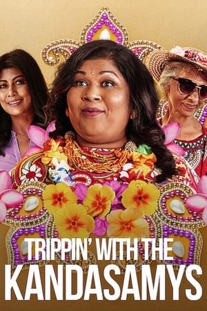 Trippin with the Kandasamys 2021 Dual Audio | Dubbed Hindi Movie Web-DL 300MB