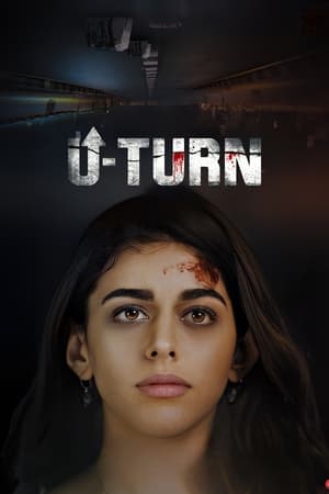 U-Turn (2023) HDRip | Dubbed Hindi Movie | 480p