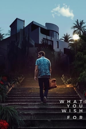 What You Wish For 2023 Dual Audio HDRip | Dubbed Hindi Movie – 480p – 1080p