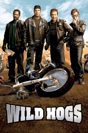 Wild Hogs (2007) Dual Audio | Dubbed Hindi Movie BluRay [750MB]