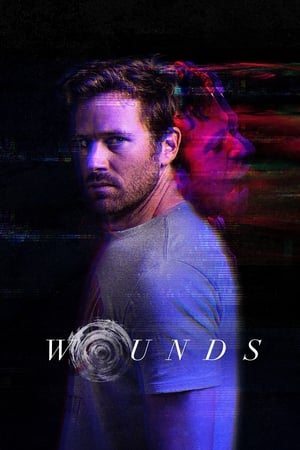 Wounds (2019) Dual Audio | Dubbed Hindi Movie BluRay 300MB