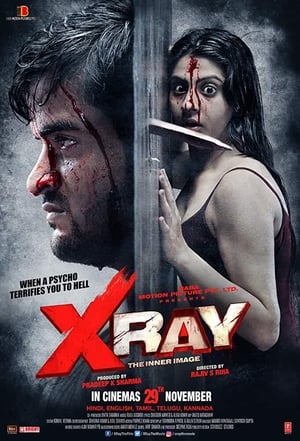 X Ray The Inner Image 2019 Movie | Dubbed Hindi Movie HDRip - [300MB]