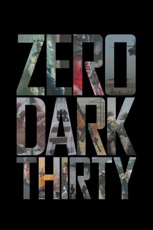 Zero Dark Thirty 2012 Dual Audio | Dubbed Hindi Movie BluRay 450MB